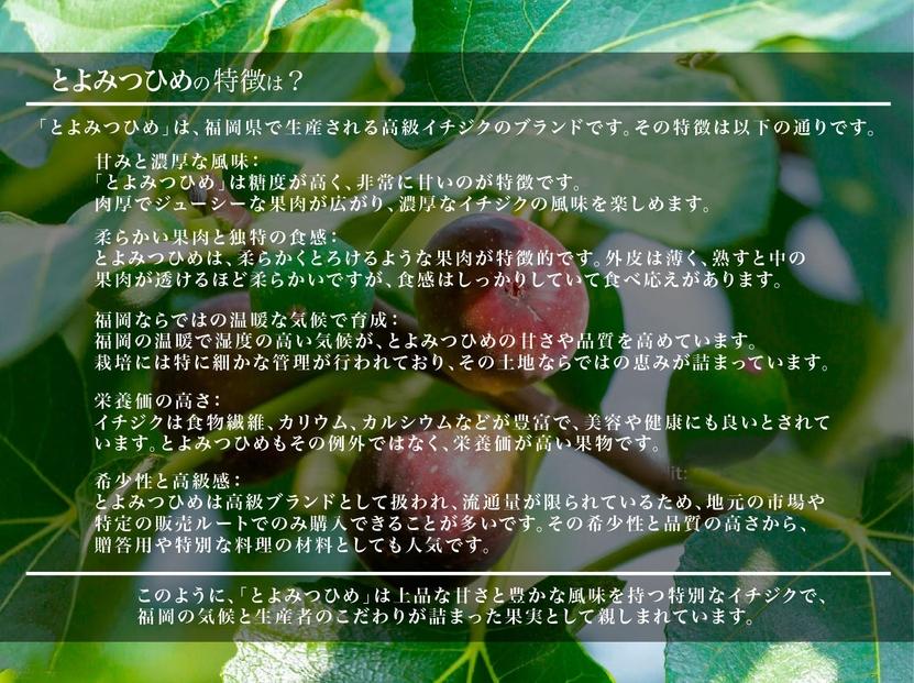 ＜2026年8月以降発送＞とよみつひめ　４パック約1200gセット（福岡市）