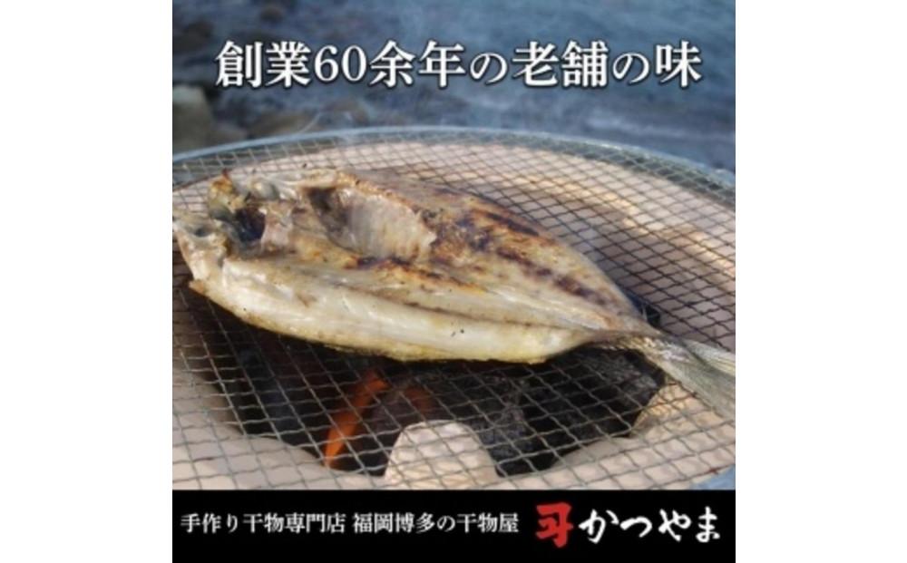 【全6回定期便】昔ながらの製法で作った干物詰合せ　全6種22枚×6回