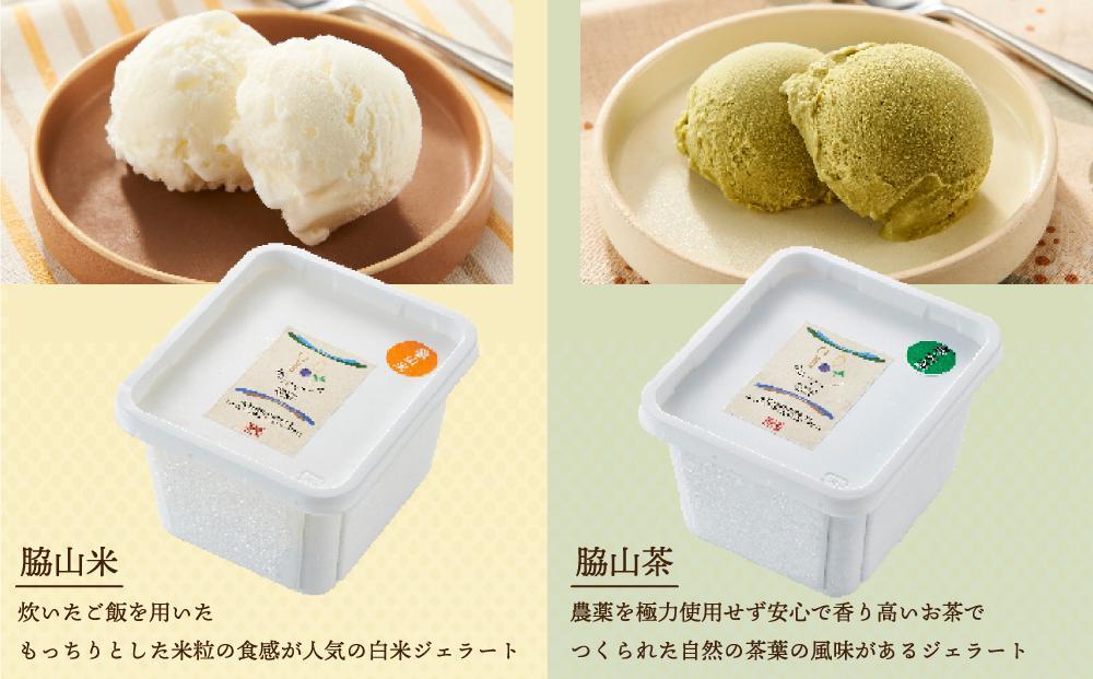 脇山ジェラート２種類セット