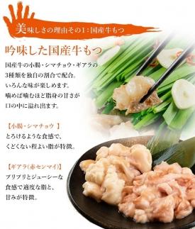 九州名物とめ手羽　博多もつ鍋セット　九州しょうゆ味　2-3人前