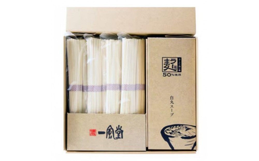 【豚骨ラーメン】「一風堂」白丸 ラー麦麺セット 合計16食分(1セット8食)×2セット