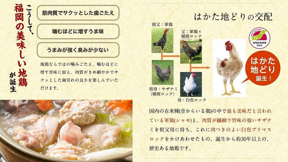 はかた地どり美人水炊き　2～3人前