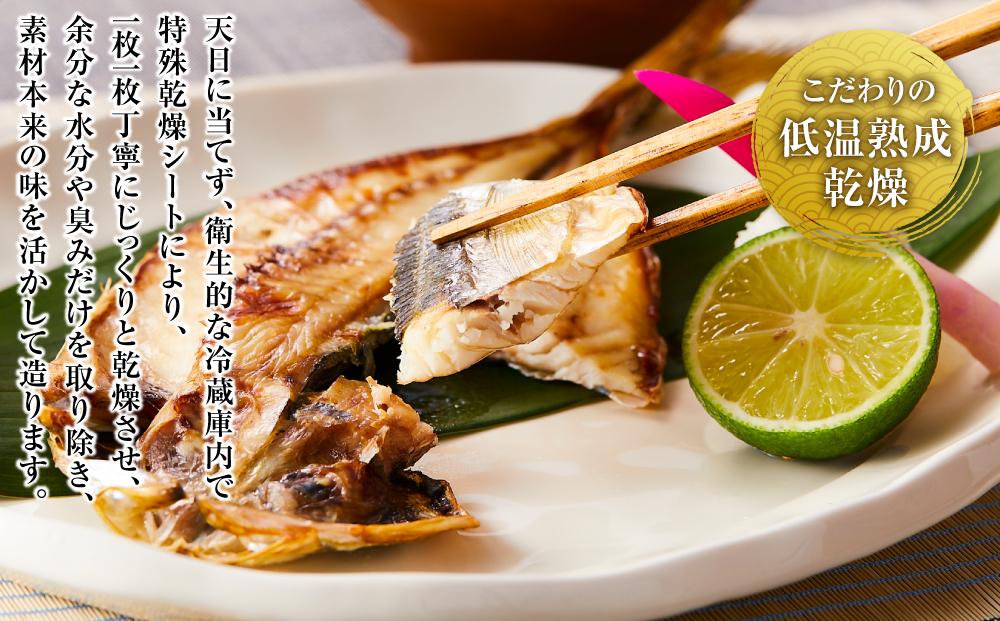 博多製造　四季のひものセット（全4回定期便）