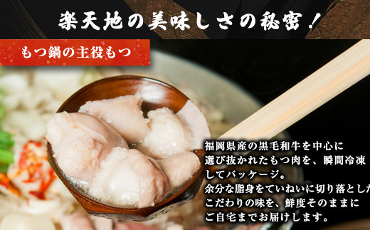 ＜最短7営業日発送＞【元祖もつ鍋楽天地】元祖もつ鍋 2～3人前 牛もつ300g（秘伝醤油味）