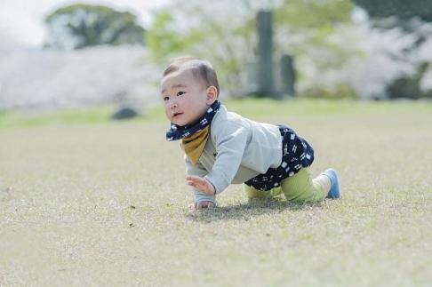 伝統工芸品“絣”を使った【ちょうちんブルマ】 《福岡市製造　by　TAKUMI Collection》【紺 井桁×アラレ】 タクミコレクション 匠コレクション TAKUMI Collection