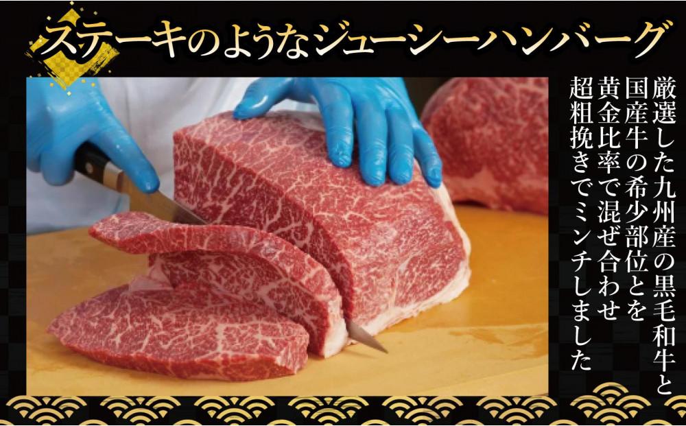 極味や博多ハンバーグ2個入りタレセット