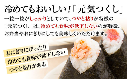 【夢つくし・元気つくし】福岡2大ブランド米　食べ比べセット　10kg