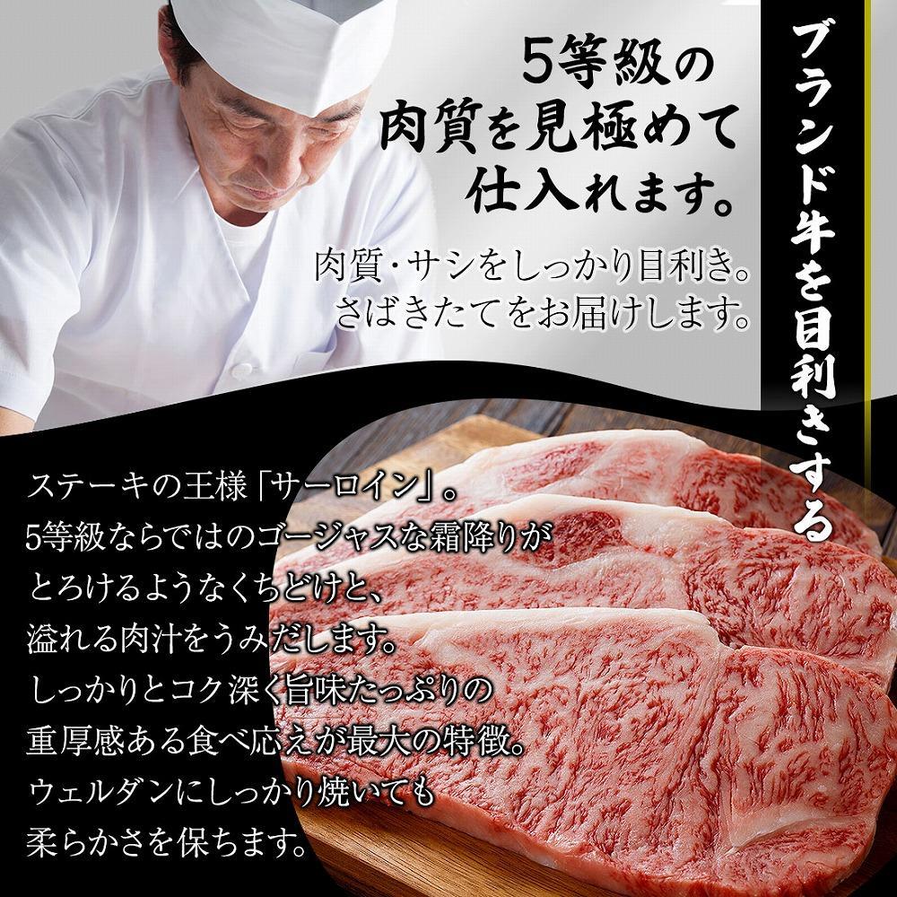 肉汁したたる 極上 サーロインステーキ 4枚 (合計1kg) 博多和牛A5ランク