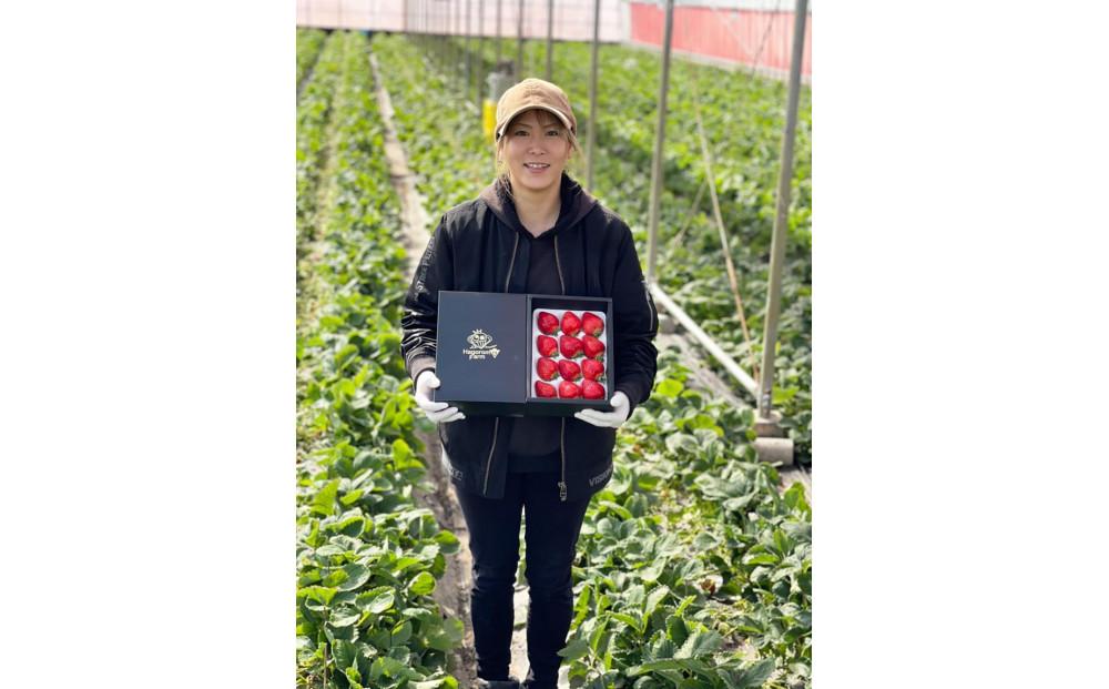 羽衣農園の完熟あまおうDX等級420g　９～15粒