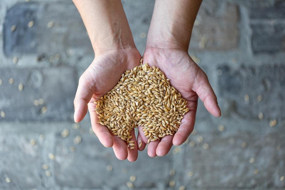 【福岡市内製造】大濠ブルワリー OHORI SOUR 缶ビール 350mlｘ12缶セット