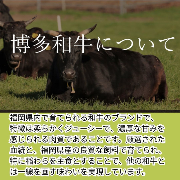 【博多和牛１００％使用】お肉屋さんの手ごねジューシー生ハンバーグ180ｇ×8個