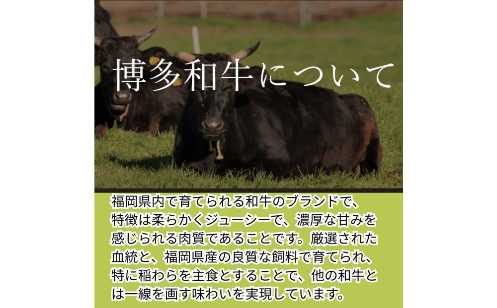 【博多和牛１００％使用】お肉屋さんの手ごねジューシー生ハンバーグ180ｇ×10個