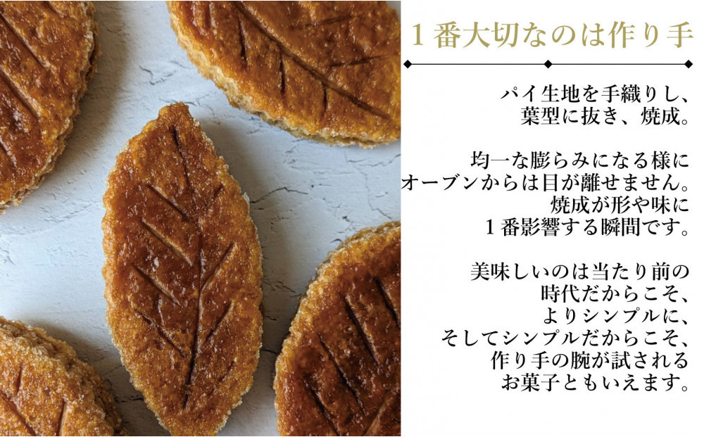 【福岡市内製造】いむりのりーふぱい（プレーン６枚 八女茶３枚）