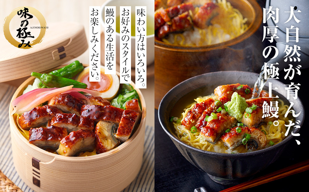 特大うなぎ蒲焼き無頭1本もの4尾セット 福岡市（中国産）