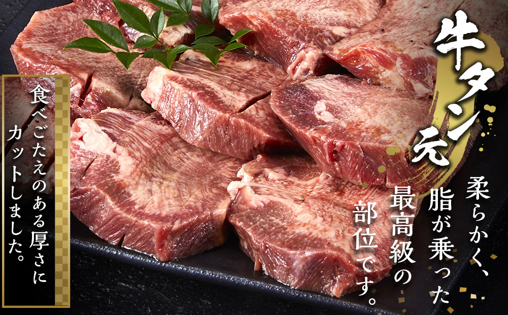 牛タン元　厚切りステーキ　たれ付け  600g(200g×3)