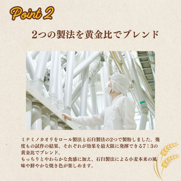 【福岡市内製造】あなたもパン屋さん！　福岡県産強力粉 1.2kg入×5袋セット（6kg）