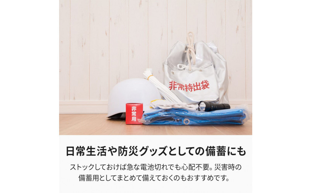 【enevolt】 エネボルト Basic アルカリ乾電池 単3形 24本セット 【2年間保証】