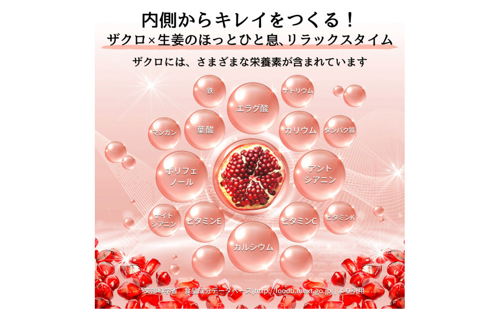 【全3回】魅惑ザクロ GINGER Boost(福岡市返礼品)【4袋入り】