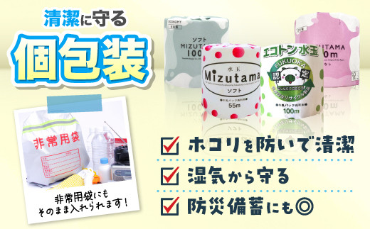 トイレットペーパー エコトン水玉 100ｍ×60個【福岡市】