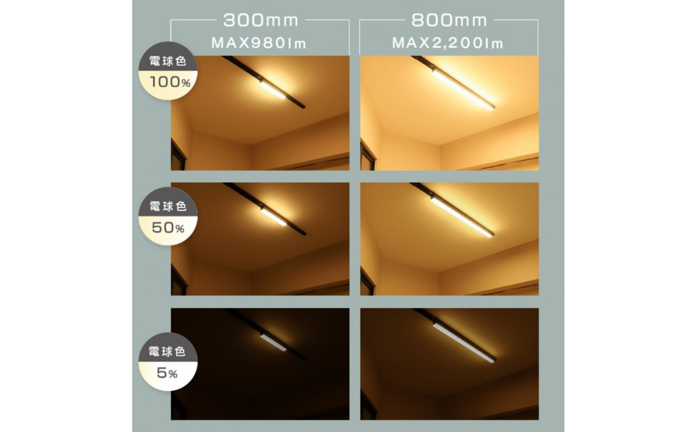 エジソンスマート ラインライト 800mm for ダクトレール ブラック 福岡市