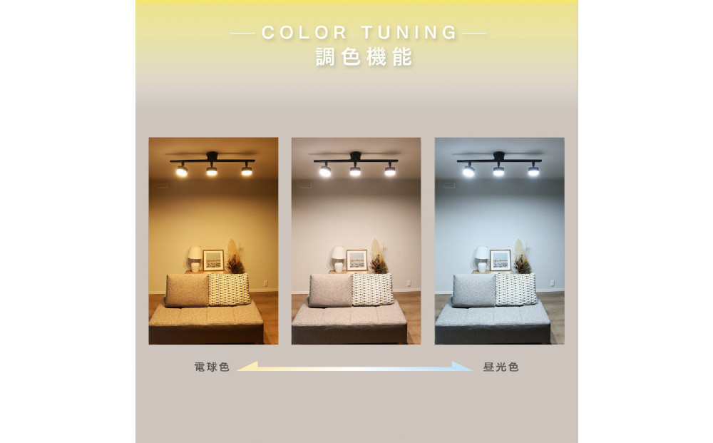 エジソンスマート TREO ミニシーリングライト 引掛けシーリング用 【ブラック】  福岡市