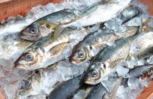 博多志賀島　干物かつやま定番干物詰合せ