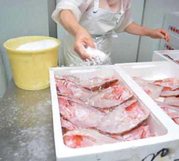 振り塩仕立て　真アジ開き10枚セット　★長浜市場で水揚げ★