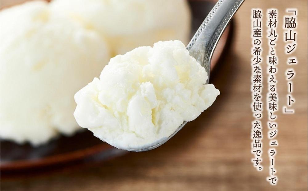 脇山ジェラート（脇山米）500ml 福岡市内製造