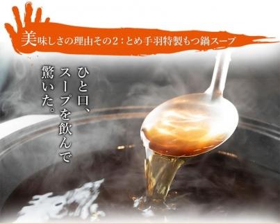 九州名物とめ手羽　博多もつ鍋セット　九州しょうゆ味　2-3人前