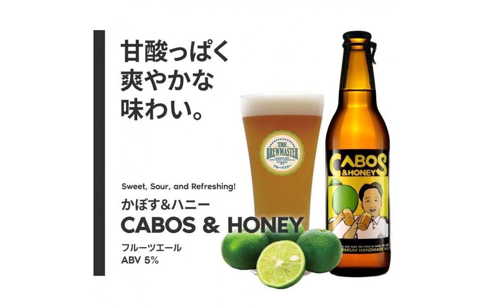 福岡市発クラフトビール　ブルーマスター　5種バラエティセット　330ml×8本