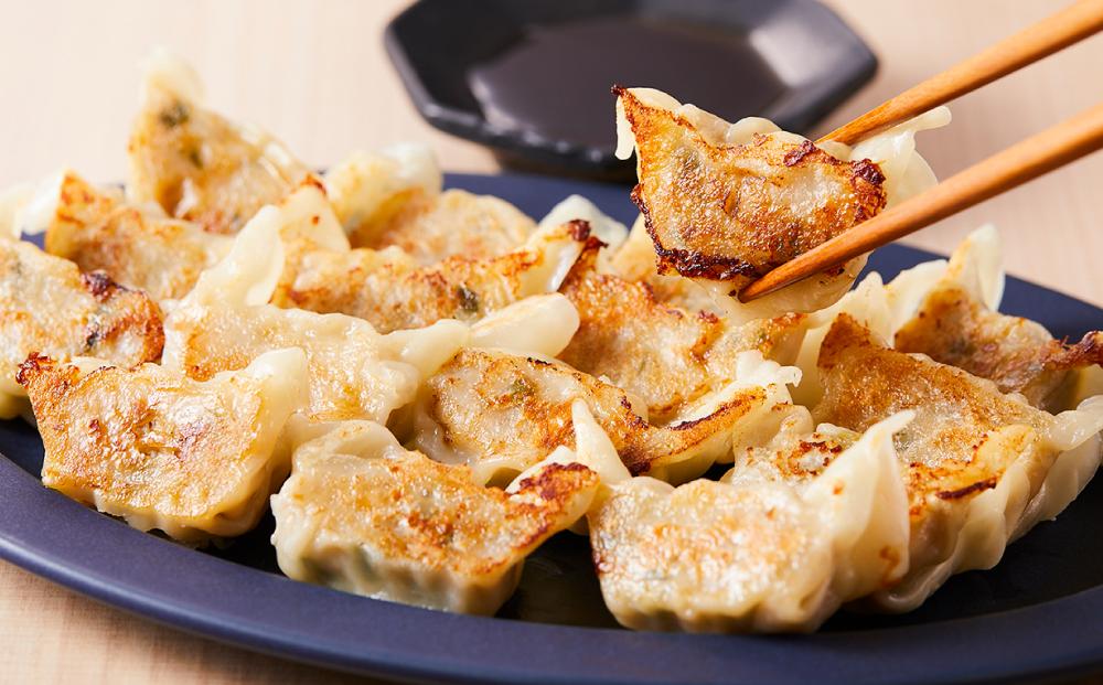 博多ひとくち餃子