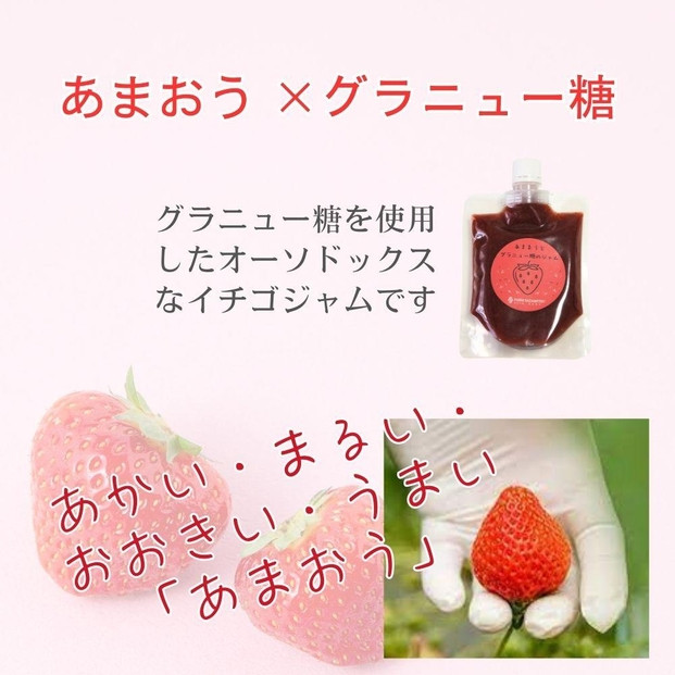いちごジャム 無添加 あまおうとグラニュー糖のジャム 200g×3袋 手作り 国産 チューブ パウチ入り