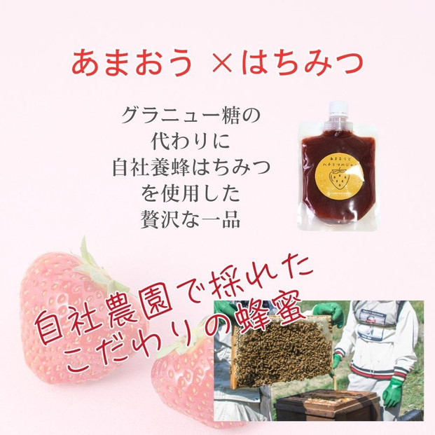 いちごジャム 無添加 あまおうとハチミツのジャム 200g×3袋 手作り 国産 チューブ パウチ入り
