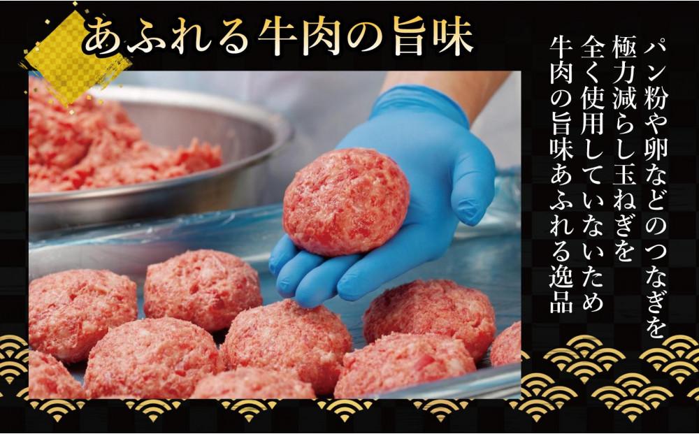 極味や博多ハンバーグ2個入りタレセット