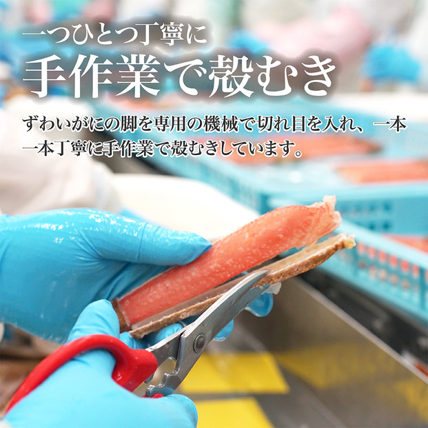 生ズワイガニ ポーション 太脚だけ 肩肉無し 500g 生食OK 中サイズ16-20本 ＜福岡市内製造＞
