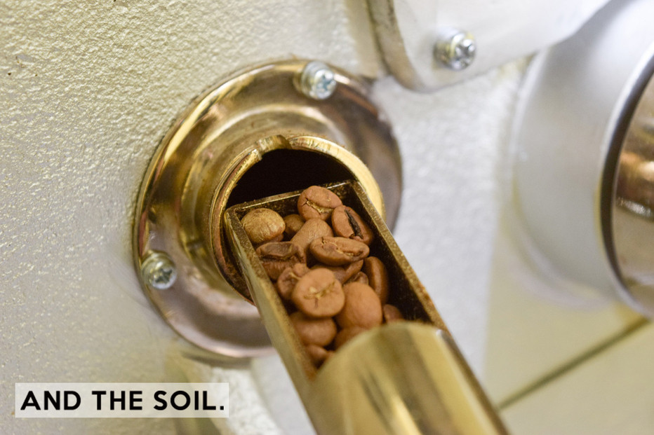 【定期便】AND THE SOIL.オリジナル焙煎オーガニックコーヒー豆GUA中煎り7200g　600g×12 か月【福岡高砂】