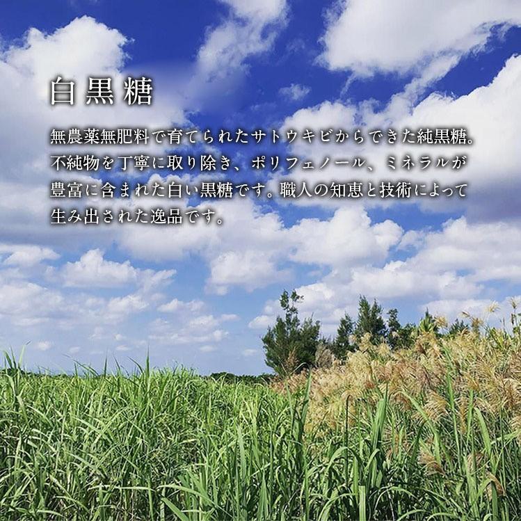 本場イタリア仕込みの本格オーガニックジェラート 20個（5種×各4個）【福岡市】