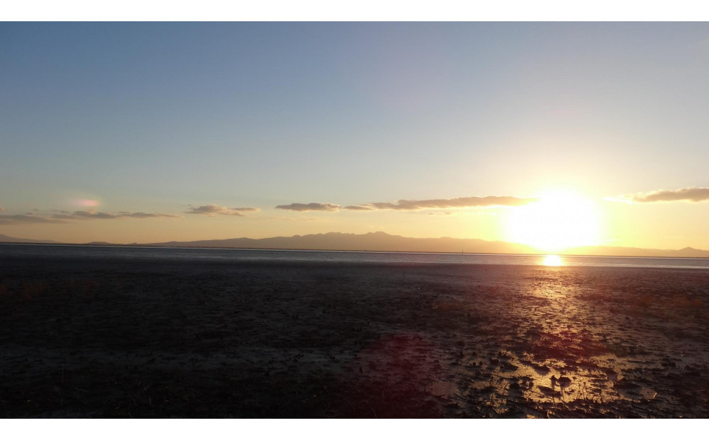 【福岡有明のり】本場福岡有明海栽培海苔　海王　一番摘み焼海苔[全形5枚入り7袋］