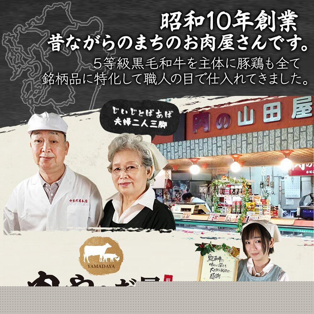 肉汁したたる 極上 サーロインステーキ 1枚 200g 博多和牛A5ランク