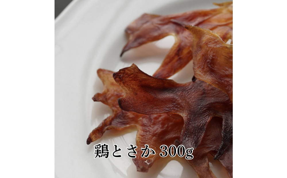 福岡市【無添加 犬のおやつ】2種ささみ姿干し&ケア用犬おやつ！元気いっぱいハッピーパック