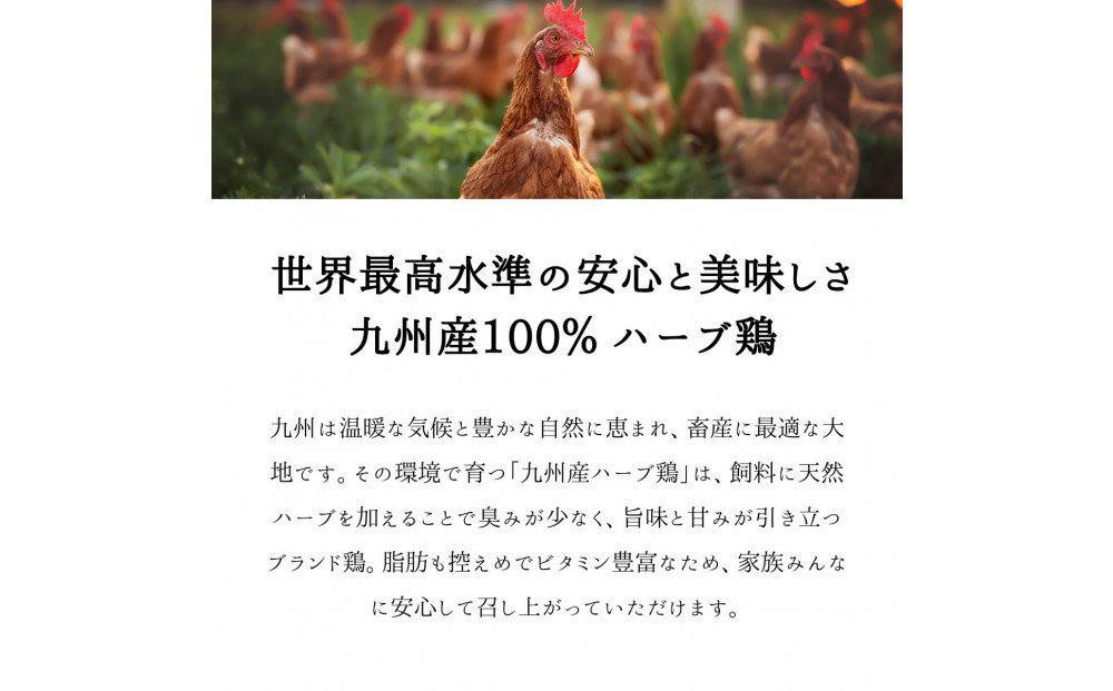 福岡発！ローストチキン専門店のこだわりモモ肉とレッグチキンのセット＜秘伝の蜂蜜醤油タレ＞
