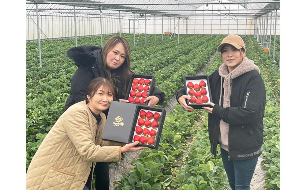 羽衣農園の完熟あまおうDX等級420g　９～15粒