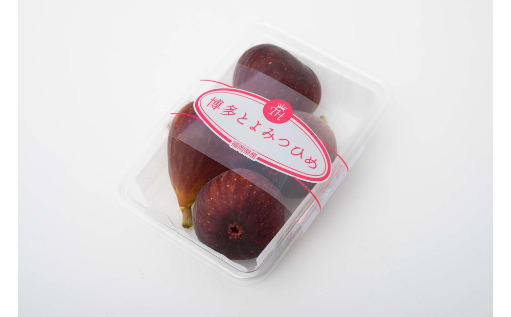 〈2025年8月10日～10月20日発送〉博多とよみつひめ 約280g×8