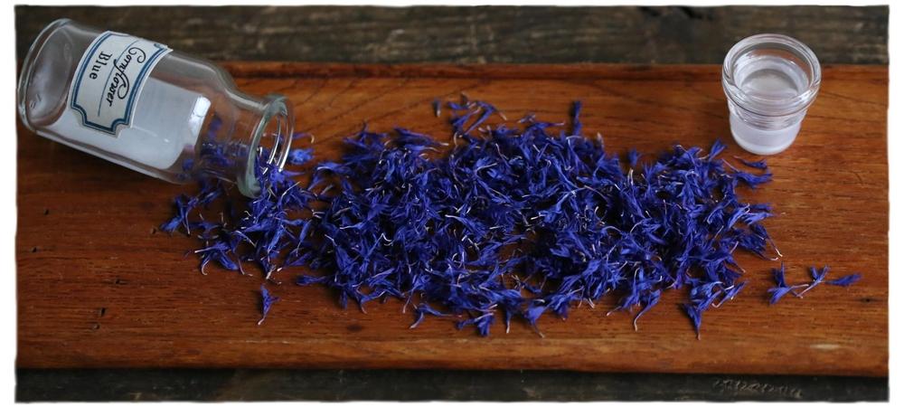 乾燥エディブルフラワーセット  福岡市西区北崎産