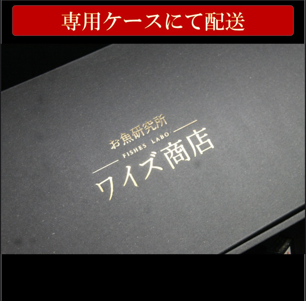 博多名物　胡麻さば　５パック