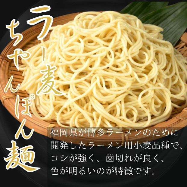 【２人前ｘ１０セット】博多の老舗醤油屋さんのこだわりスープのもつ鍋セット！！福岡特産ラー麦１００％使用のちゃんぽん麵付き