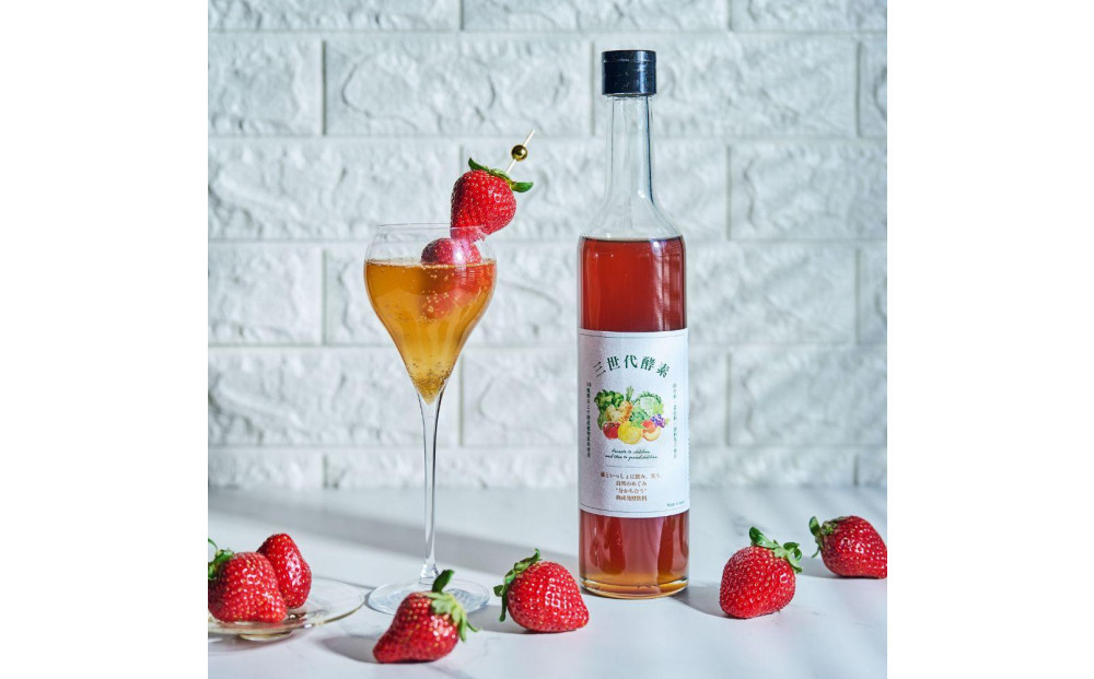 三世代酵素(福岡市返礼品) １本500ml×２本セット