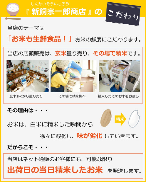 福岡県産 夢つくし10kg (5kg×2袋) (令和7年産)