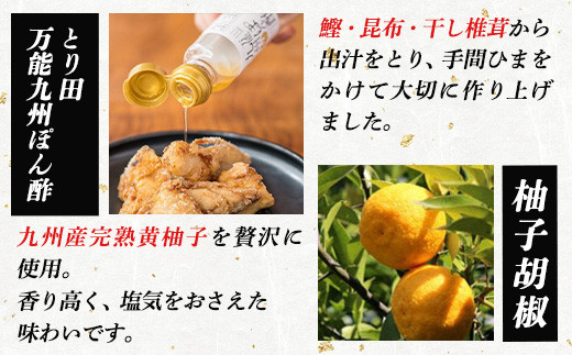 とり田水炊きセット【4人前】