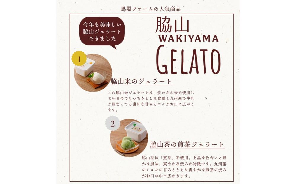 脇山ジェラート２種類セット